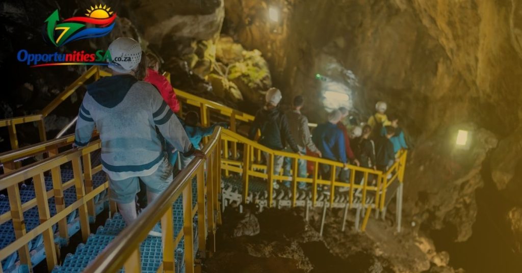 mintek internship 2026